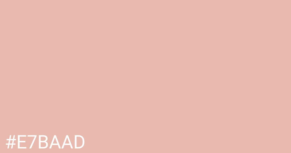 Hex color #e7baad graphic