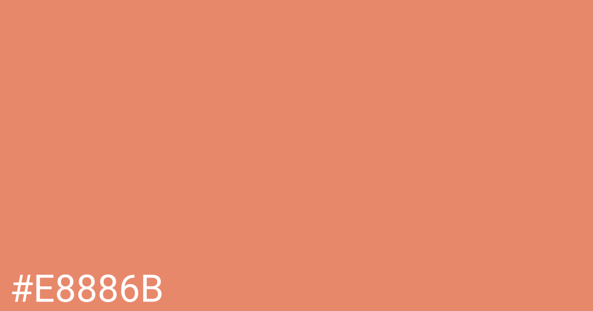 Hex color #e8886b graphic