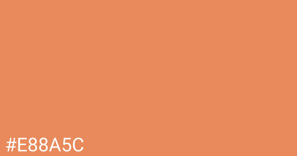 Hex color #e88a5c graphic