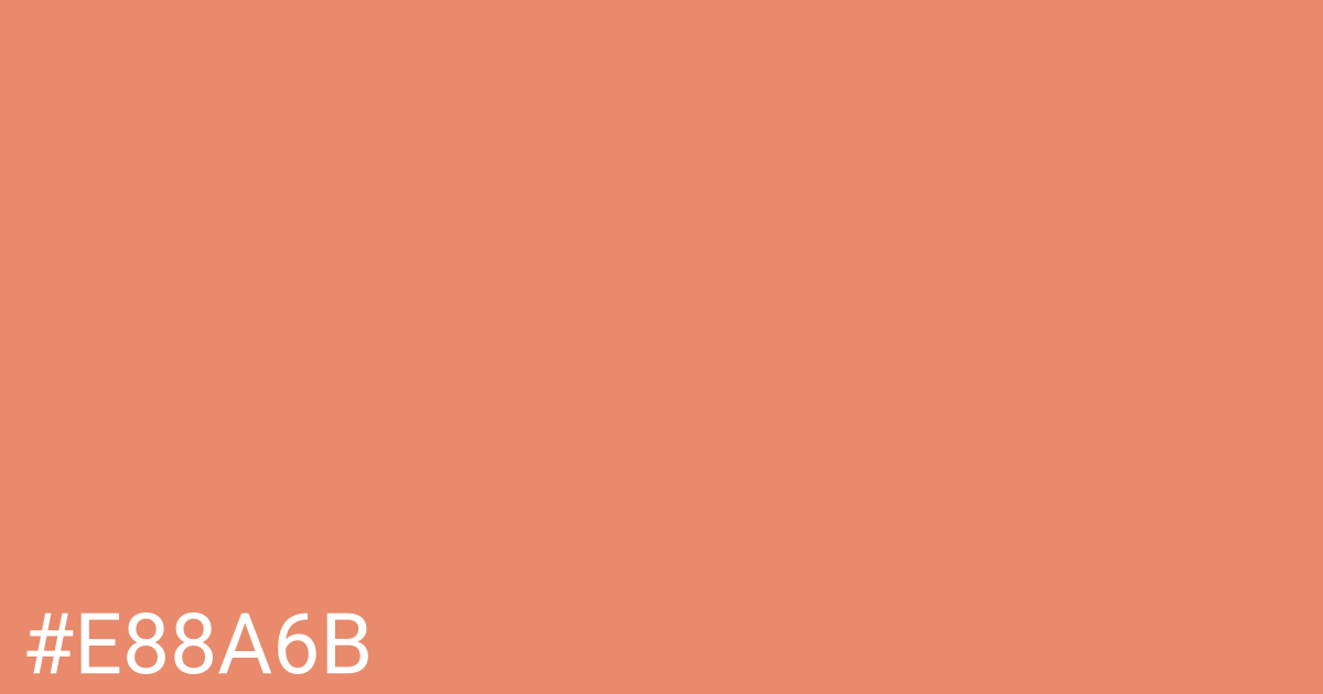 Hex color #e88a6b graphic