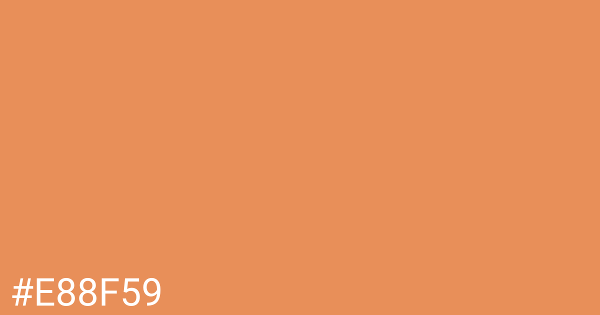 Hex color #e88f59 graphic