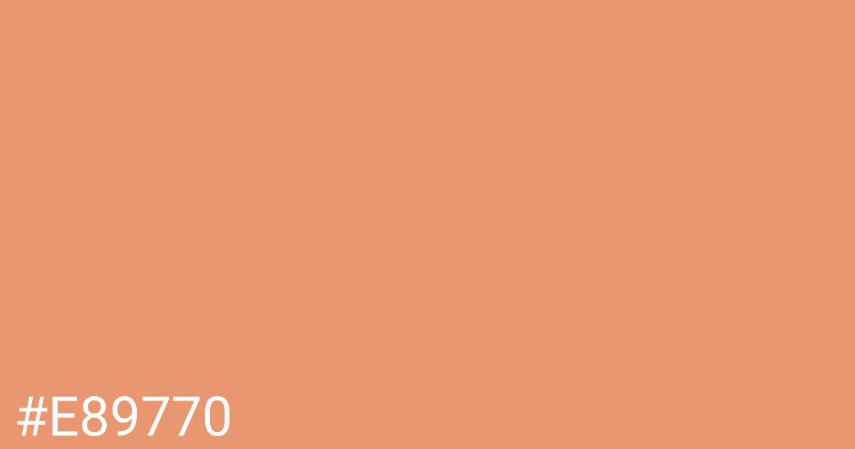 Hex color #e89770 graphic