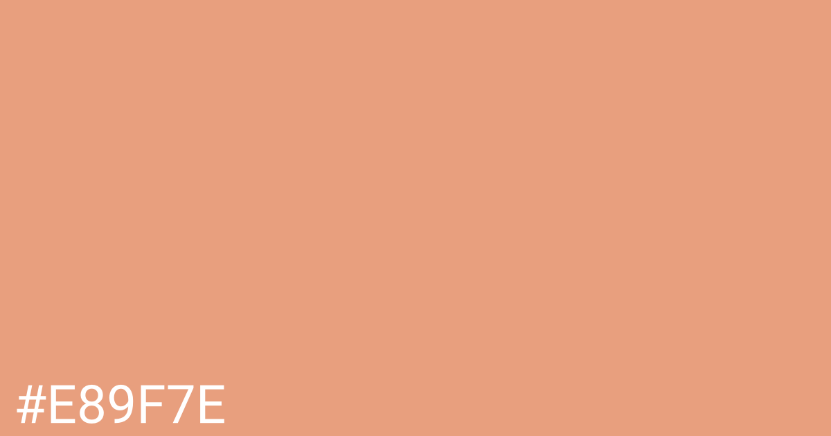Hex color #e89f7e graphic