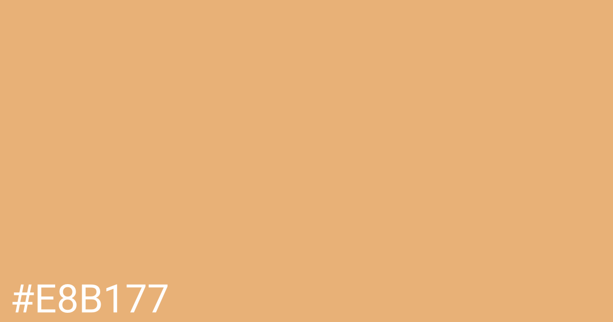 Hex color #e8b177 graphic