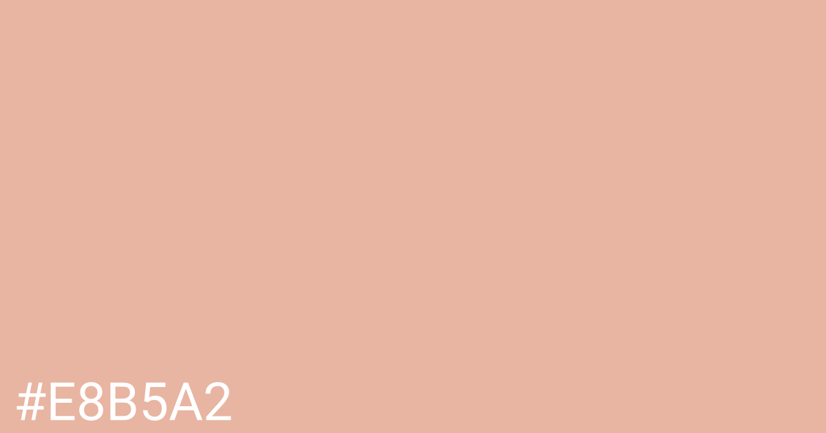 Hex color #e8b5a2 graphic