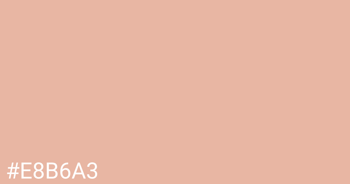 Hex color #e8b6a3 graphic