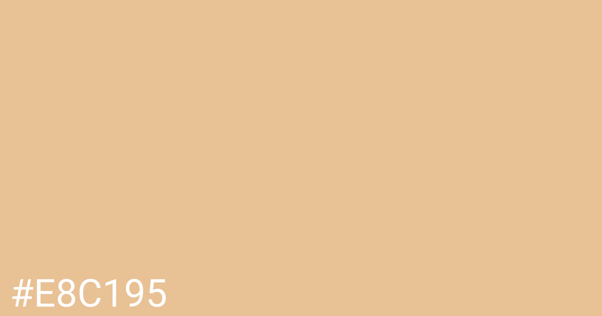 Hex color #e8c195 graphic