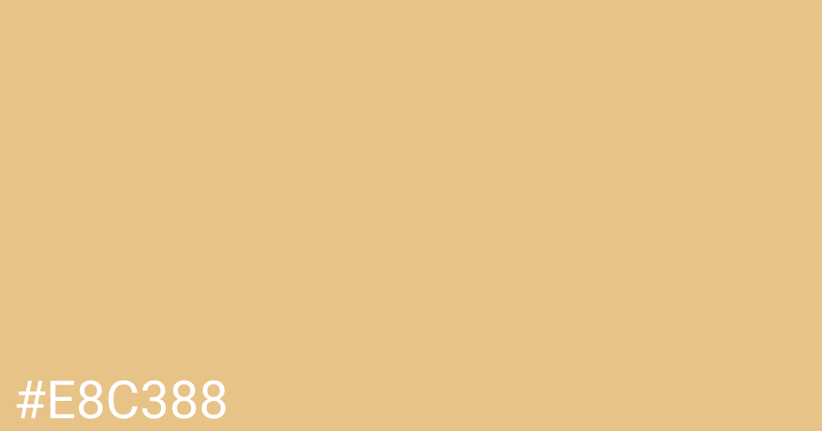 Hex color #e8c388 graphic