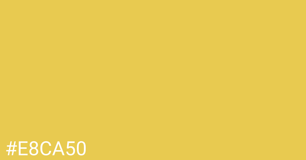 Hex color #e8ca50 graphic