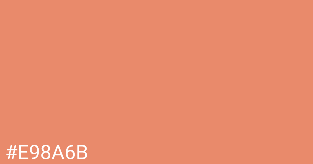 Hex color #e98a6b graphic