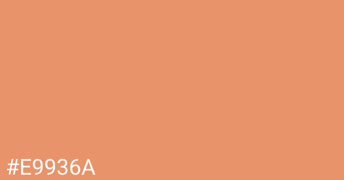 Hex color #e9936a graphic