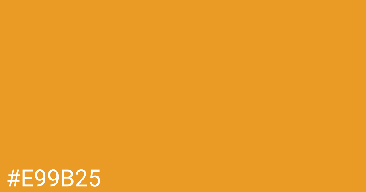 Hex color #e99b25 graphic