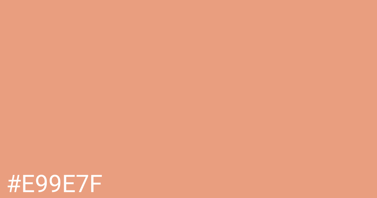 Hex color #e99e7f graphic