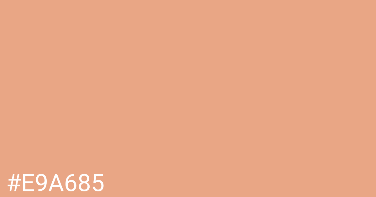 Hex color #e9a685 graphic
