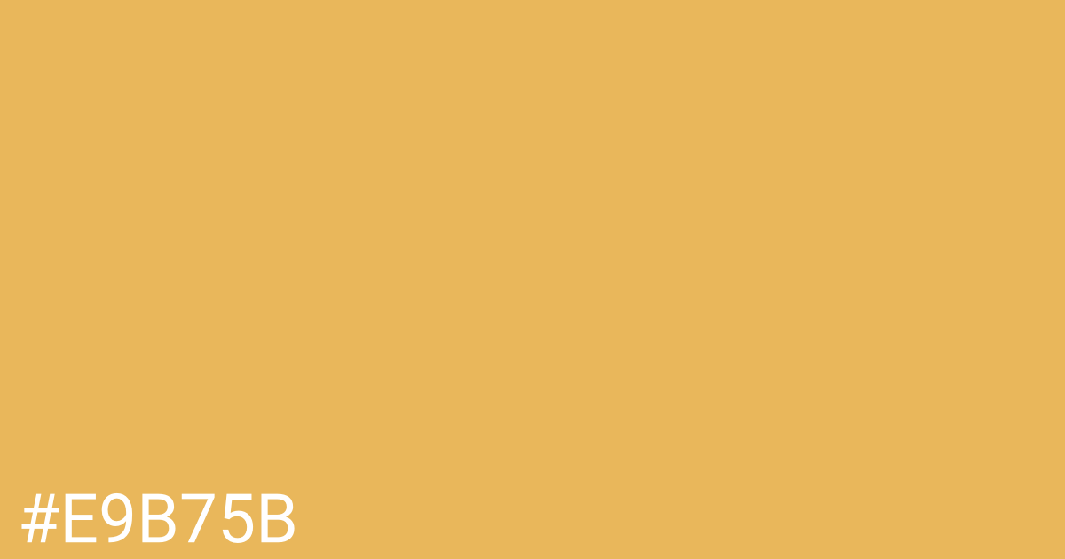 Hex color #e9b75b graphic