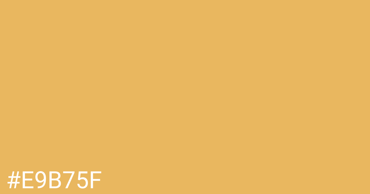 Hex color #e9b75f graphic