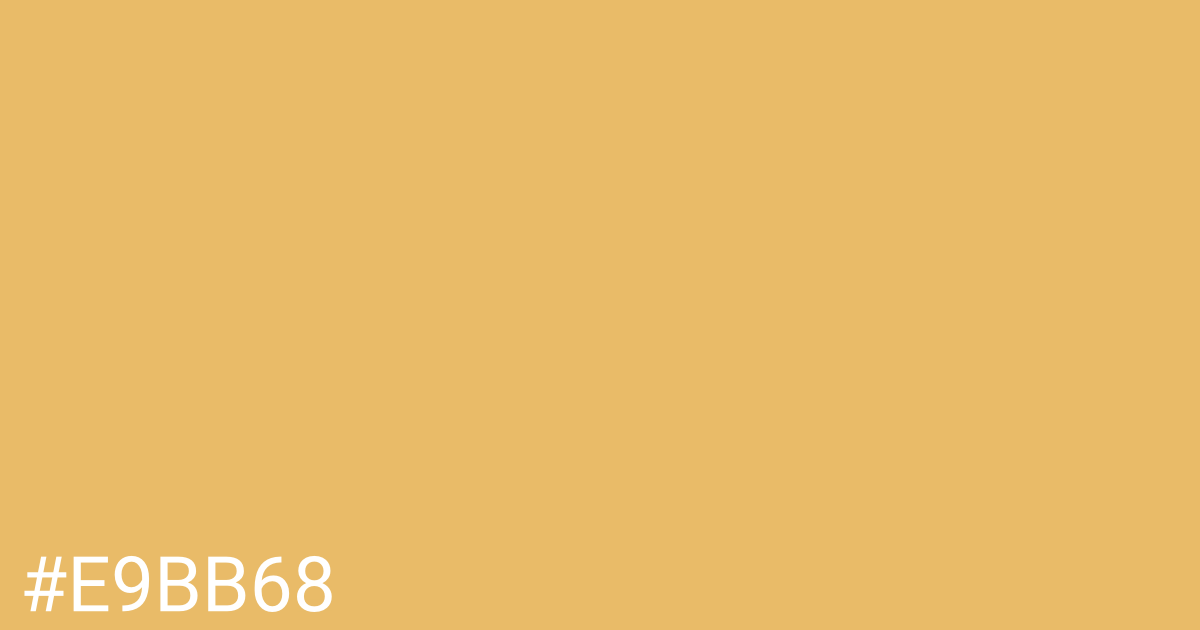 Hex color #e9bb68 graphic