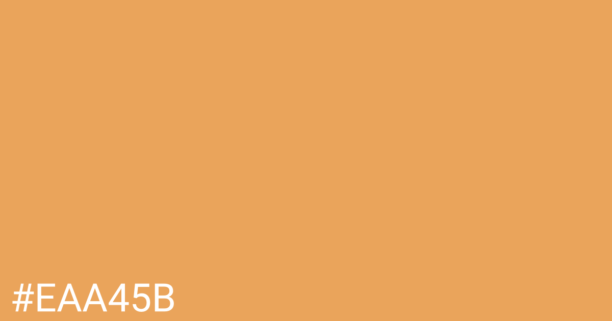 Hex color #eaa45b graphic