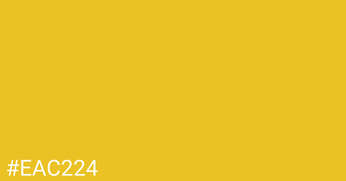 Hex color #eac224 graphic