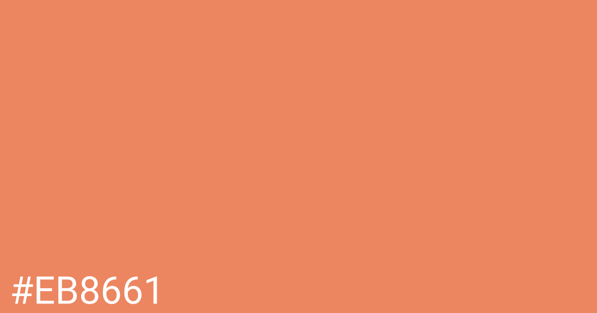 Hex color #eb8661 graphic