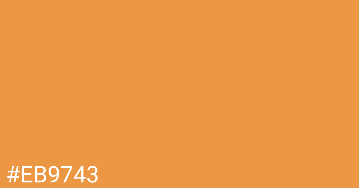 Hex color #eb9743 graphic