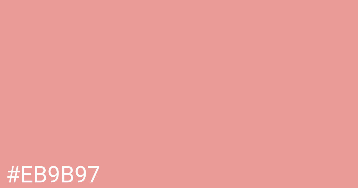 Hex color #eb9b97 graphic