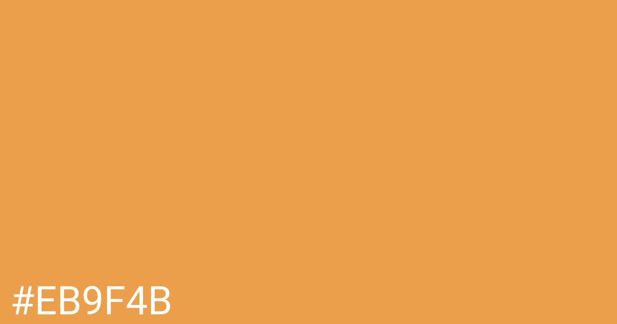 Hex color #eb9f4b graphic