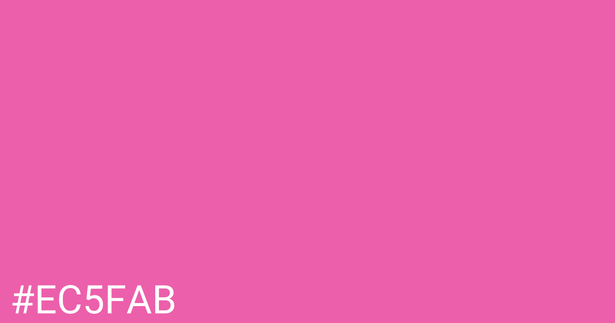 Hex color #ec5fab graphic