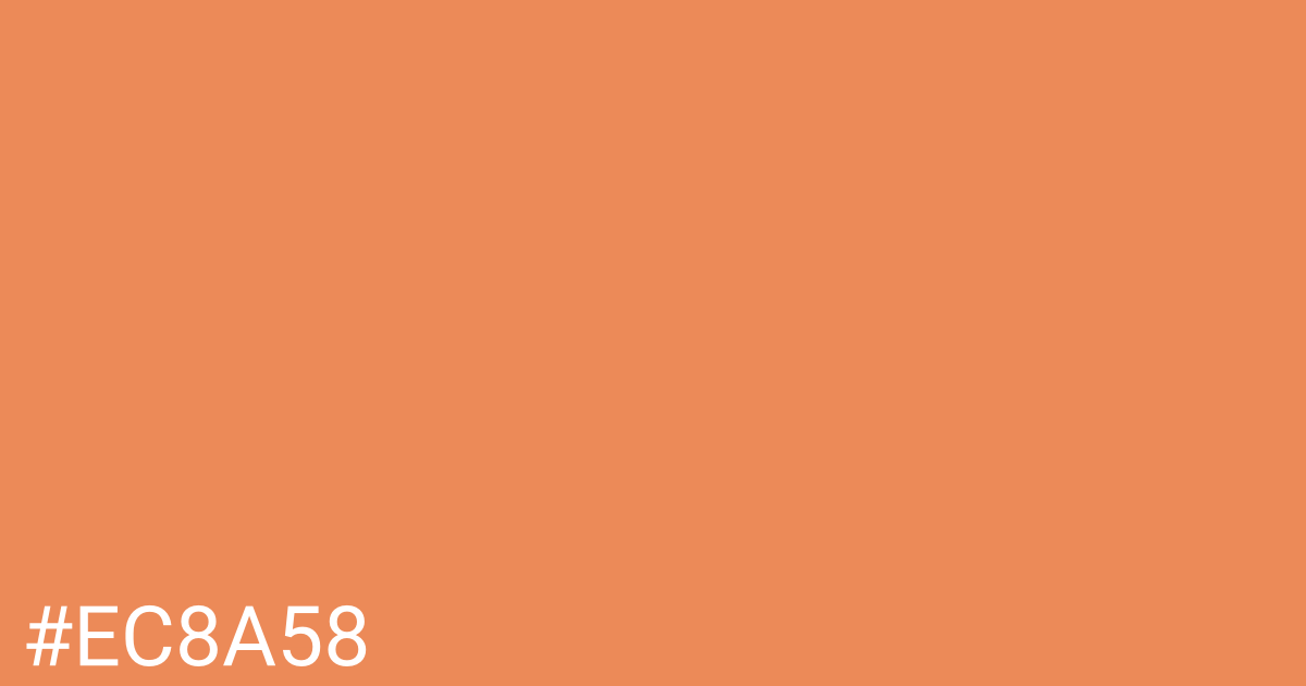 Hex color #ec8a58 graphic