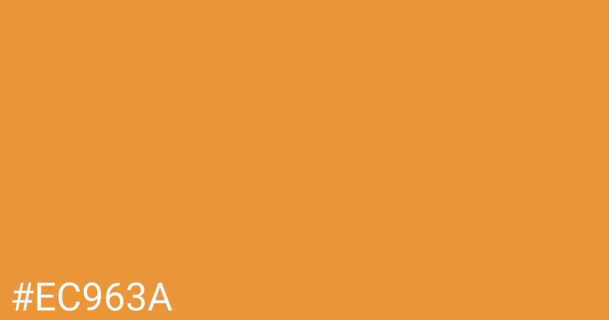Hex color #ec963a graphic