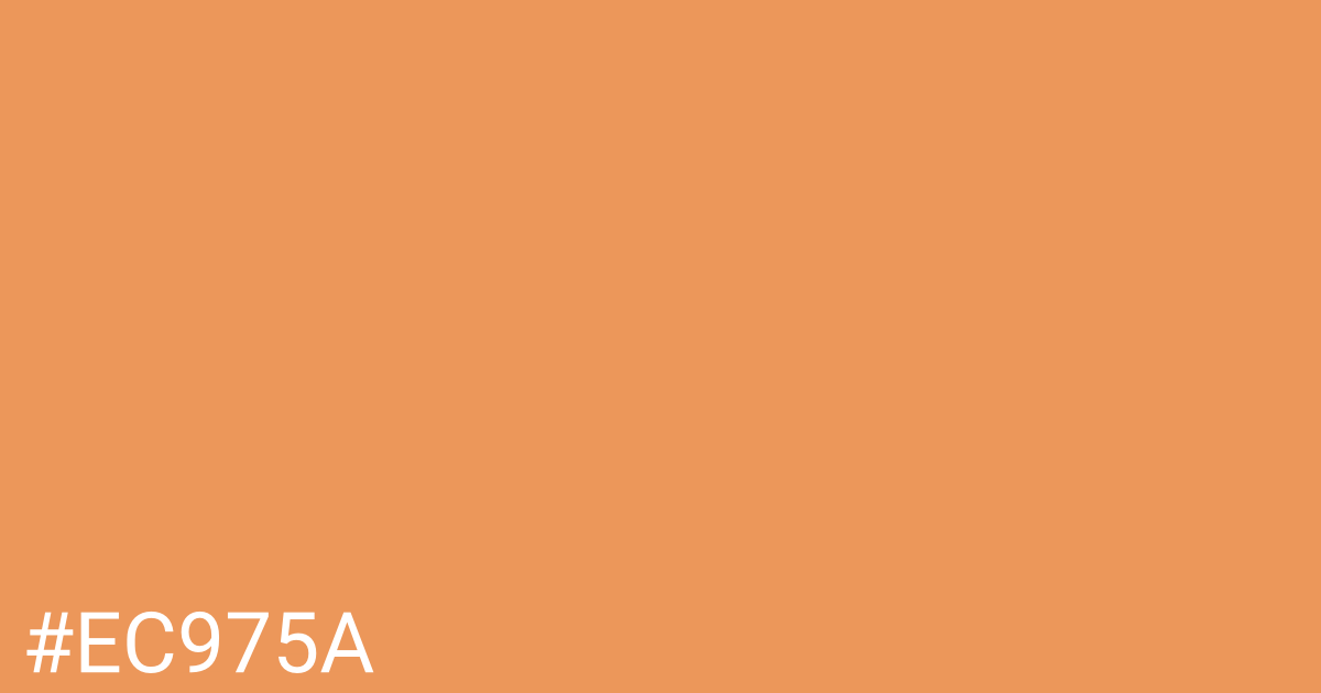Hex color #ec975a graphic