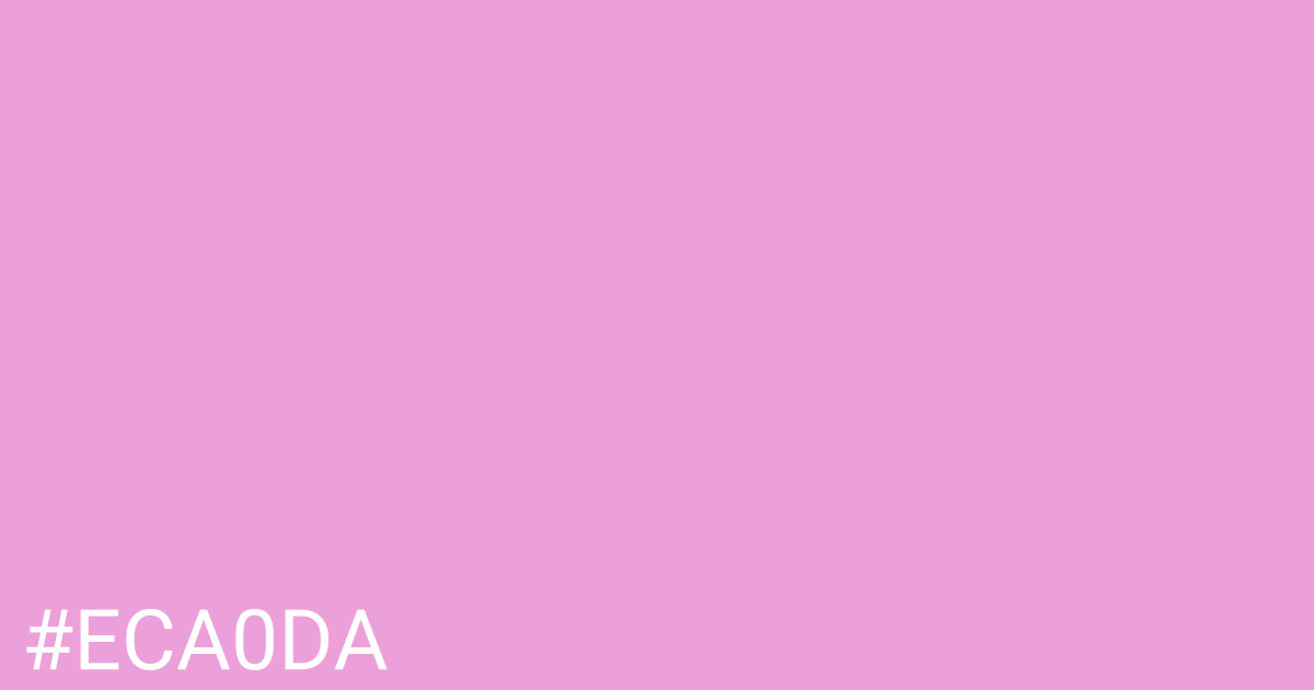 Hex color #eca0da graphic