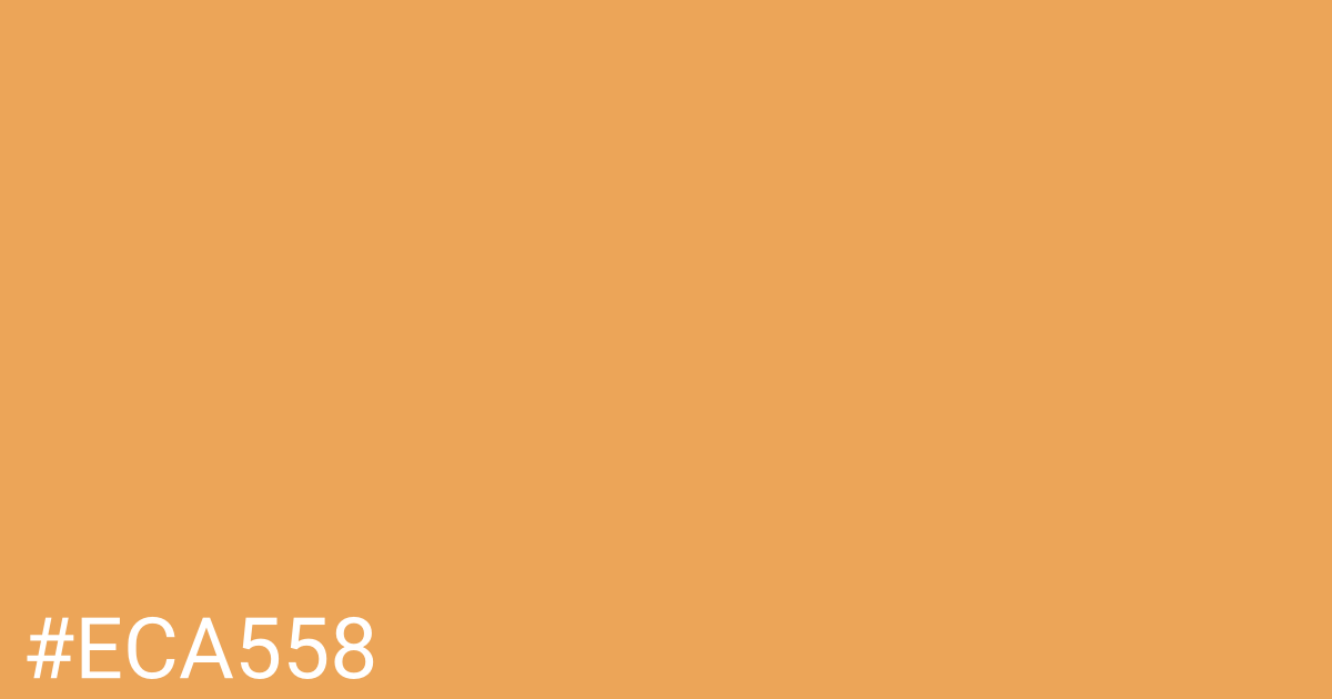 Hex color #eca558 graphic