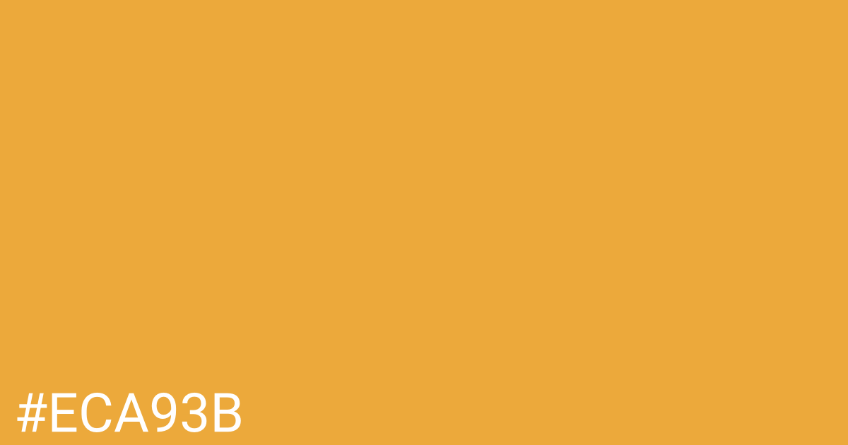 Hex color #eca93b graphic