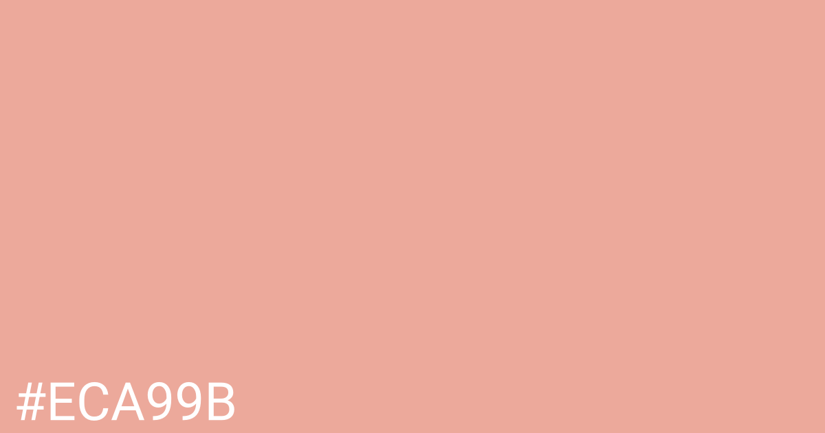 Hex color #eca99b graphic