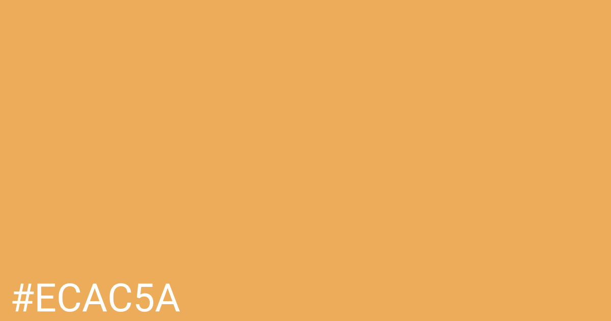 Hex color #ecac5a graphic