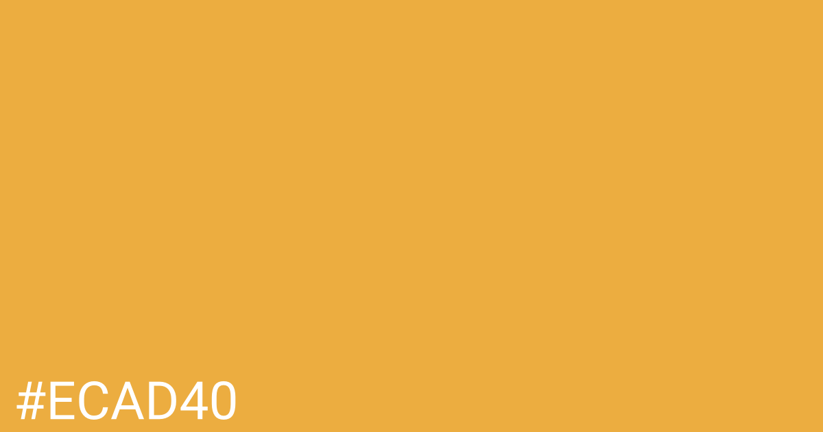 Hex color #ecad40 graphic