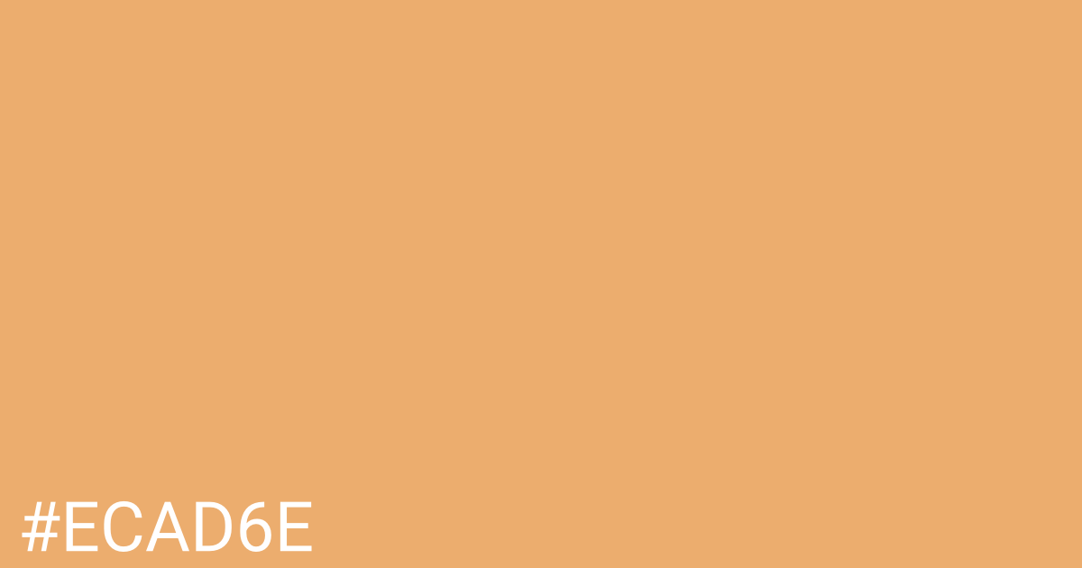 Hex color #ecad6e graphic
