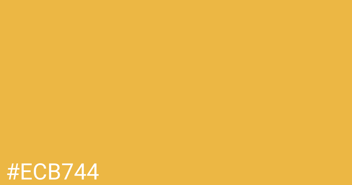 Hex color #ecb744 graphic