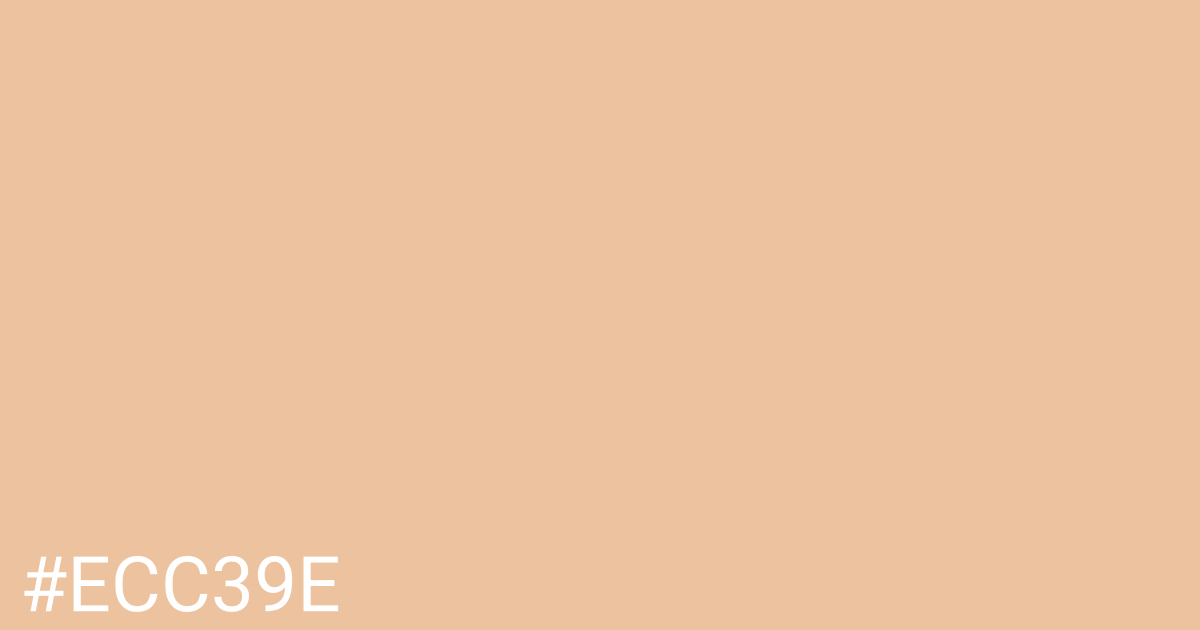 Hex color #ecc39e graphic