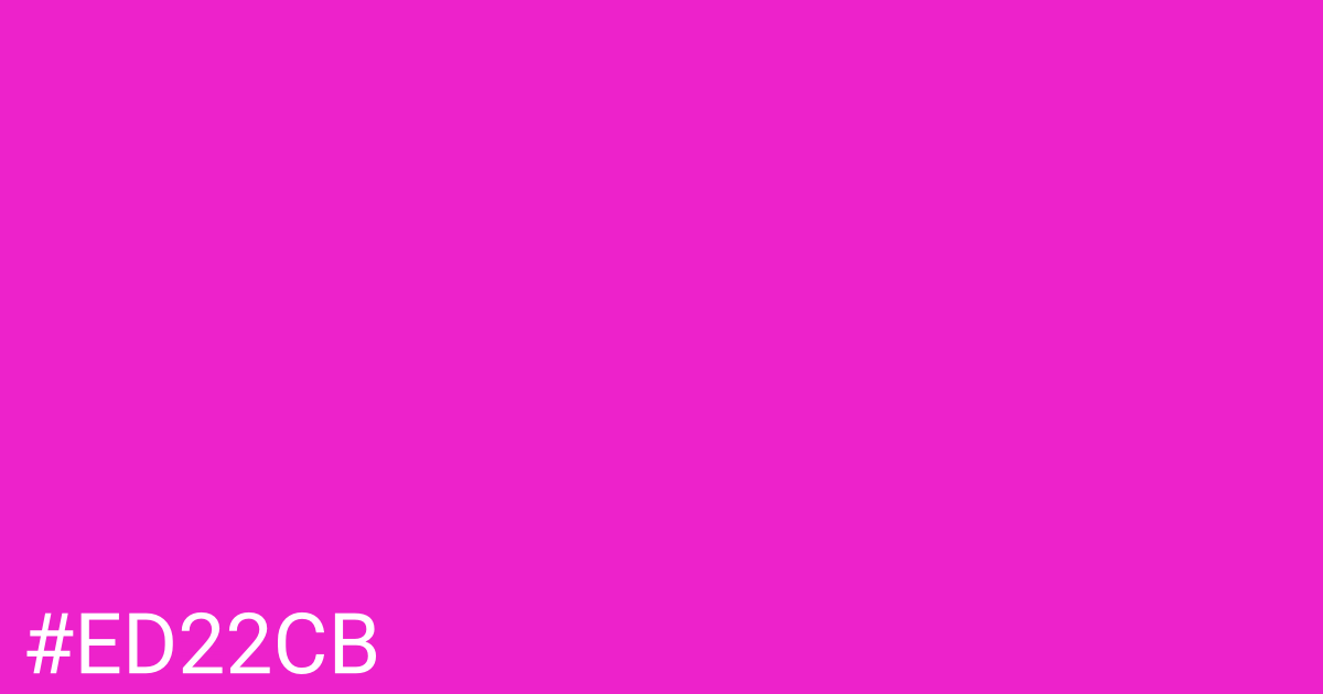 Hex color #ed22cb graphic