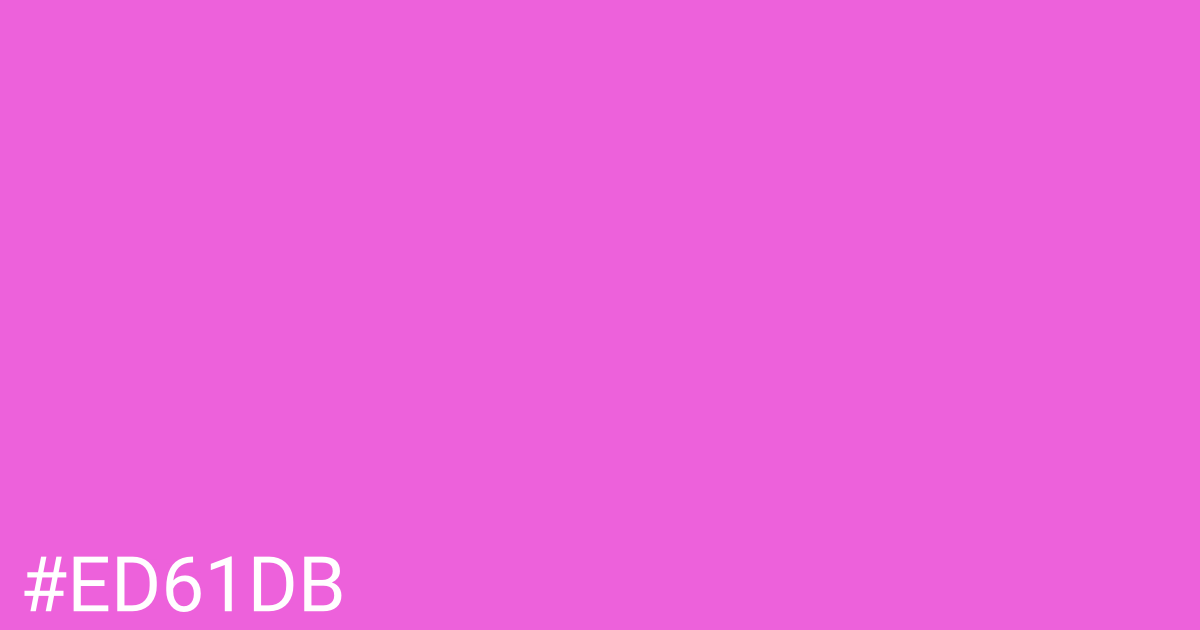 Hex color #ed61db graphic