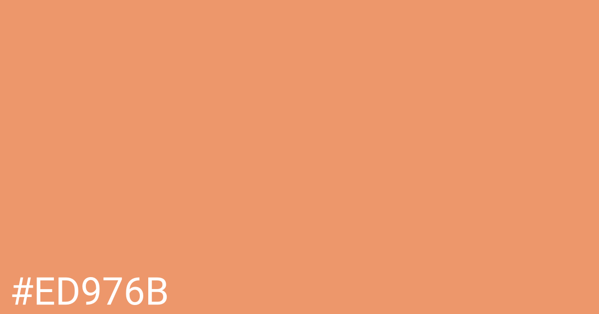Hex color #ed976b graphic