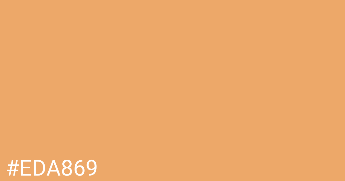 Hex color #eda869 graphic