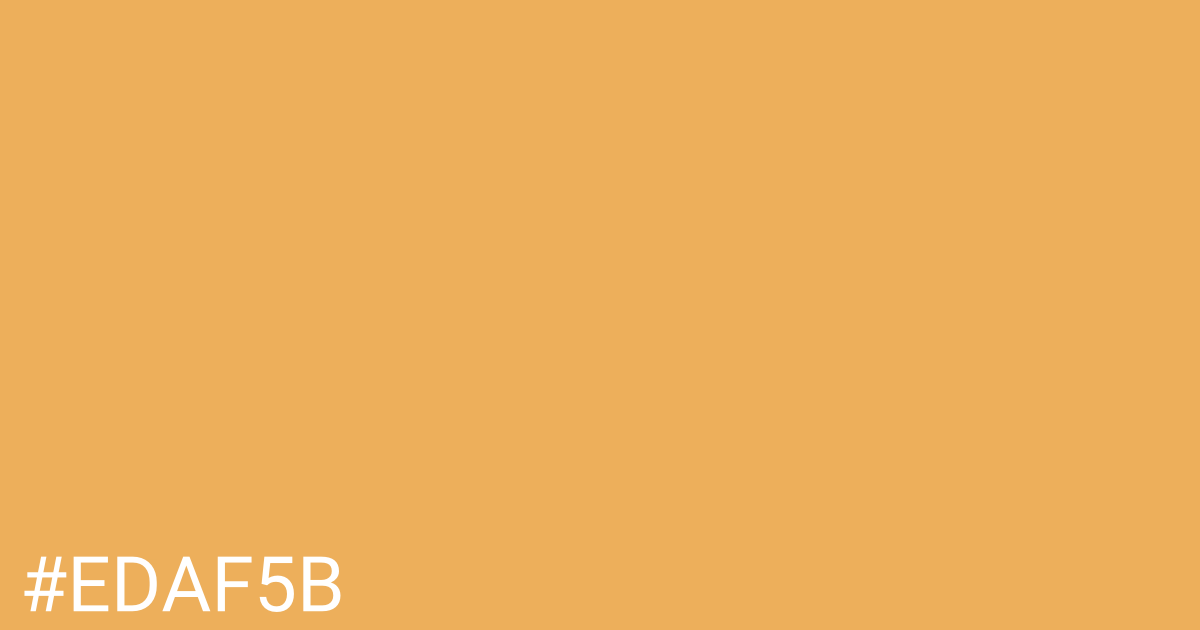 Hex color #edaf5b graphic