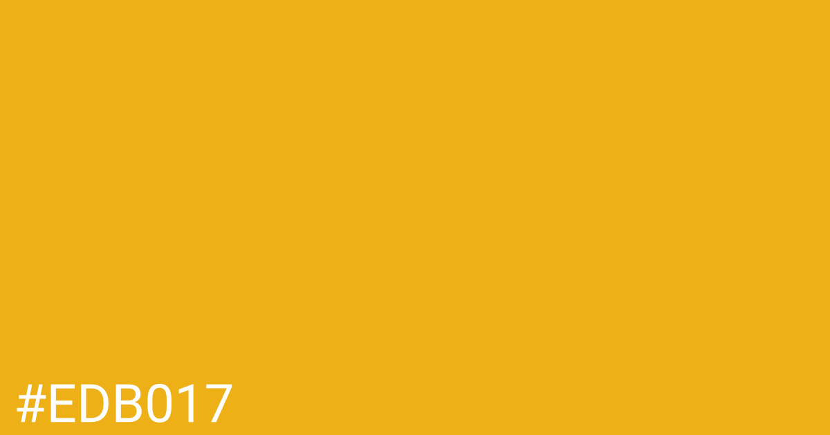 Hex color #edb017 graphic