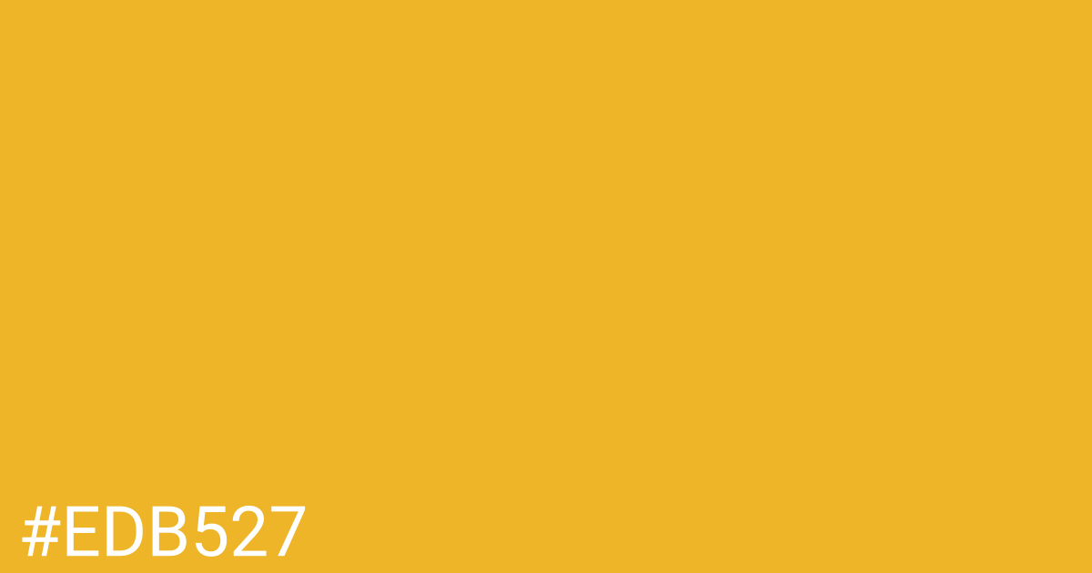 Hex color #edb527 graphic