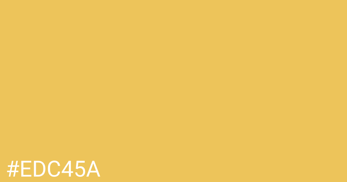 Hex color #edc45a graphic