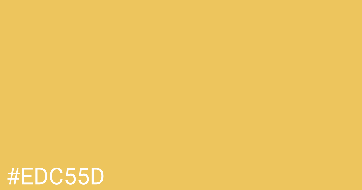 Hex color #edc55d graphic