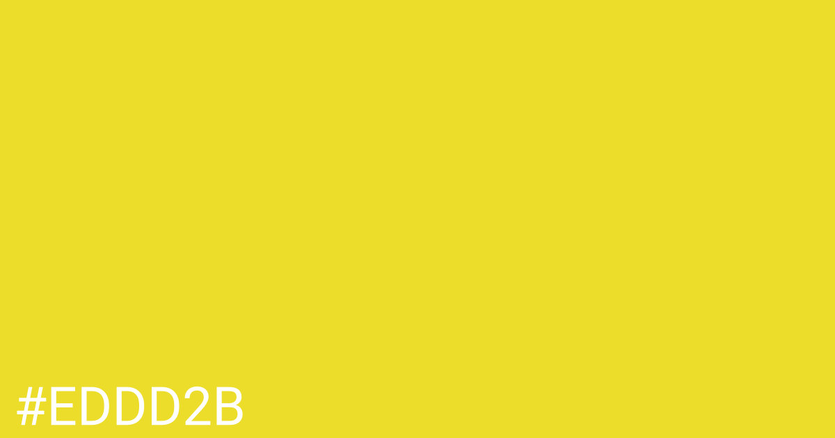 Hex color #eddd2b graphic